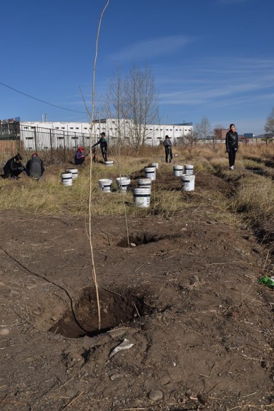 12166143_432138776987364_976013894_n