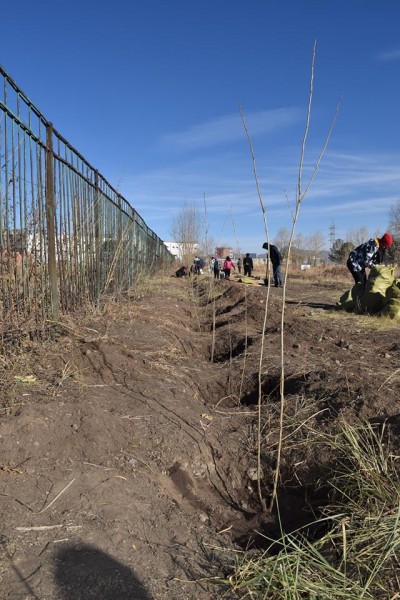 12166651_432138770320698_438186496_n