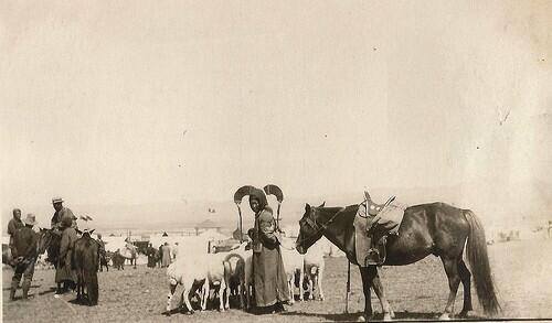 \"1512704_680269595358201_81412378_n\"