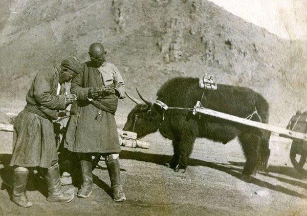 \"164447_671199442931883_247561298_n\"