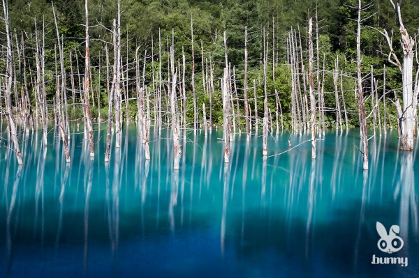 18d466bea215aab728b45a3325f40c09