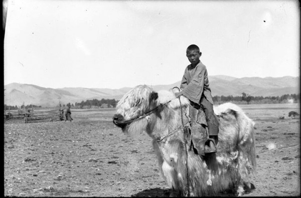 \"1979088_741774119207748_6861706072313145404_o\"