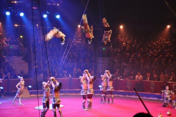 245802890c6f0118original