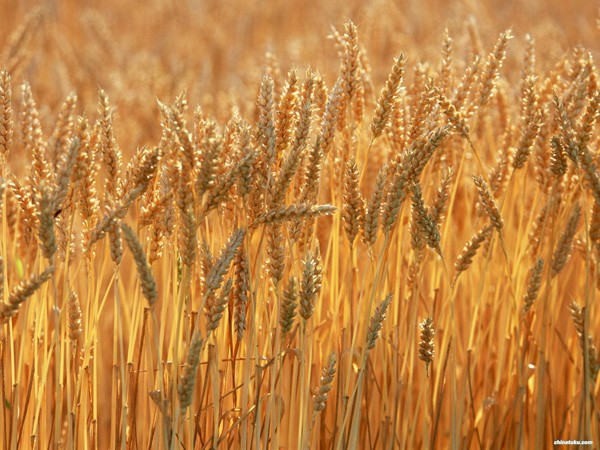 360si9l8ph4tk0i6opio4tgi7h