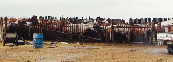 381c6ntqu2l3lkvdu20vhpdo00