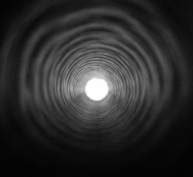 4226ifbugvibgredupbkl7org1