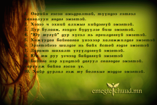 541d31cc52065ef3original