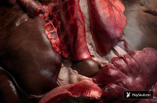 5du9ksul4bi4k9ddotflvhe42s