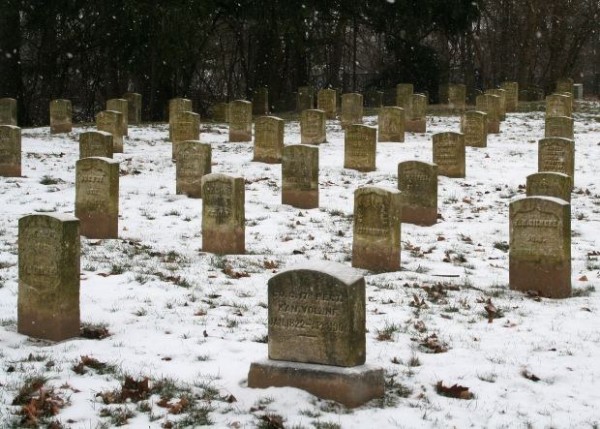 7avvenl219rl6gqsjl1hrohgbl