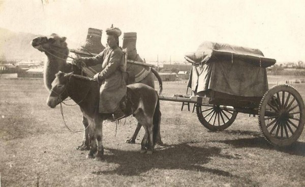 \"906495_741772112541282_4369275404470204495_o\"