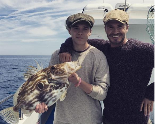 Screenshot_4_500x500