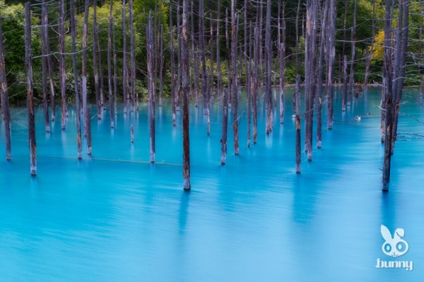 a7e2ebae62cd84a869dff368378850c5