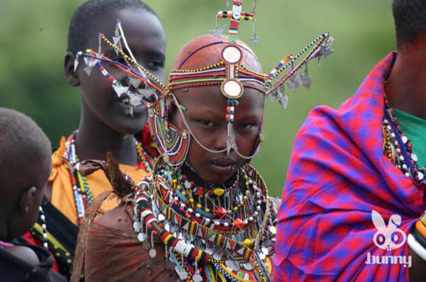 b60fe25fa3f20a544c93cd7858240c81