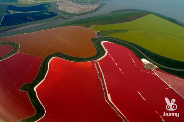 b9451ce532d9b1970b675531faa3293a