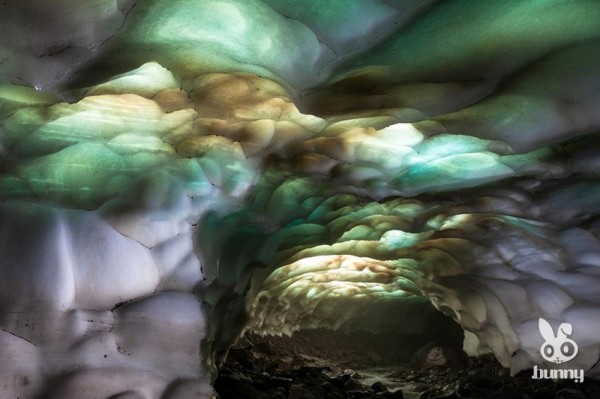 b991bb4454faa23efa9737b3492d7519