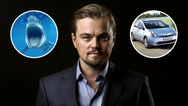 c33f00efef0a58043b6077c375bfacfa