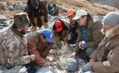 d2db27faf6b90772ed6d3d12f0c65fe1684c1f55