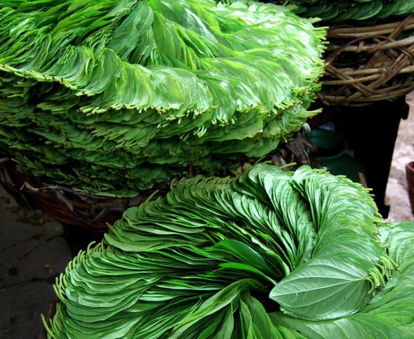 f71e1a040d9b349045d0666f7f2e8c0a