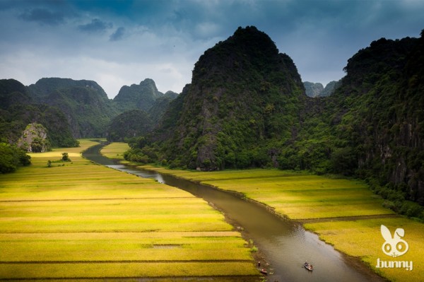 fc91348f90fc77472225c87cdc233fef