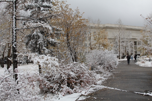 tsas зурган илэрцүүд