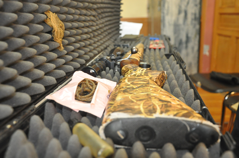 11221273_422924014567686_7159081797186103387_n