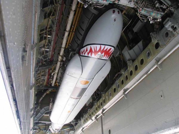 12235028_563179553829596_8620288664294502643_n