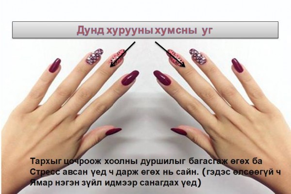 12311270_201042236895507_2298947481861237350_n