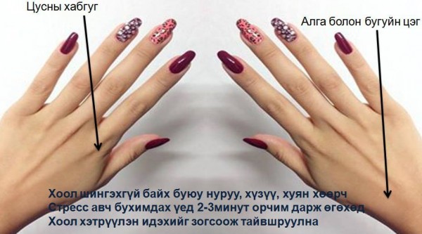 12313828_201042273562170_1566232752240577422_n