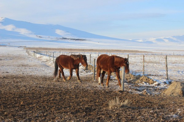 \"12333649_860341927419715_1116600241_o\"