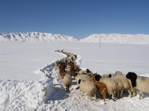 29d6a077644d0ea44be10103f0753390