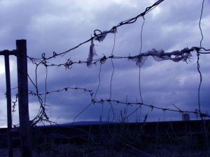 304fbe2524ac821agreat-300x225