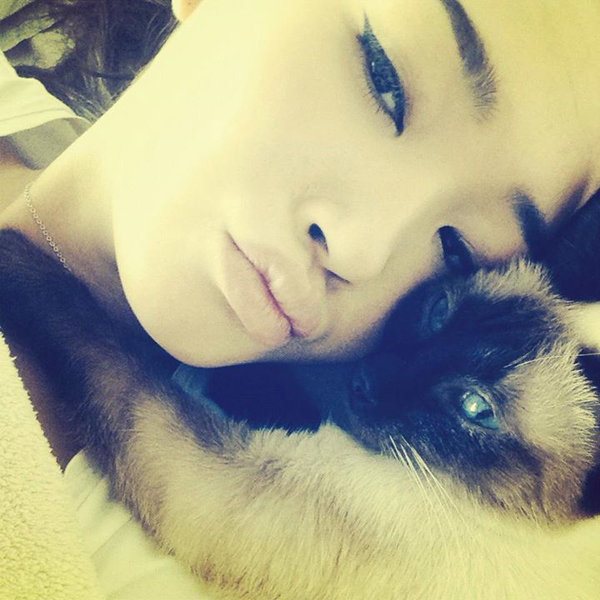 3fd2038383b808d4original