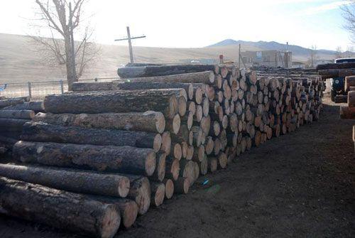 030200850872de00790d05ca5big