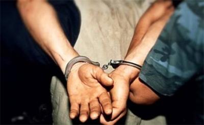 08182b51706319dea4e54257814e6d4e