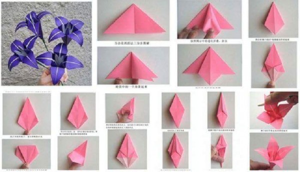 11745702_10204333213321815_7687876880030506974_n