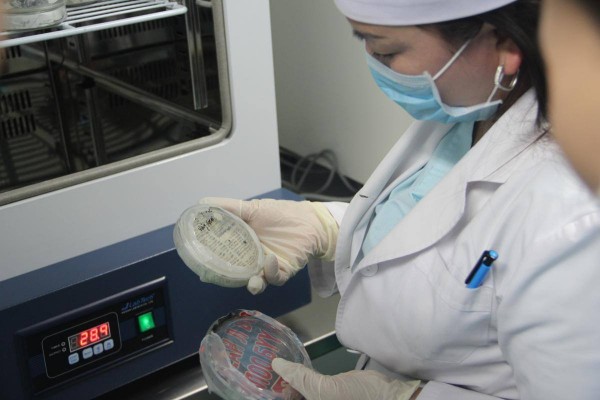 12356183_1686072398295760_884302092_o