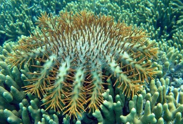 1256739444d541c698c619c26c50c8ae