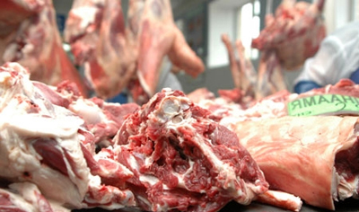 1449821828566a86844fa06