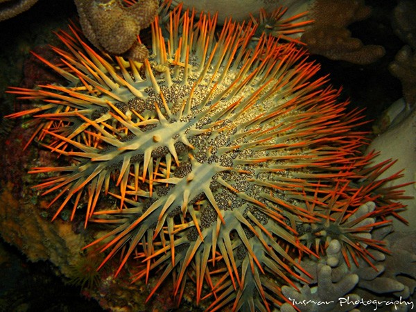 1d75076201864c65b5e63b3e61545e33