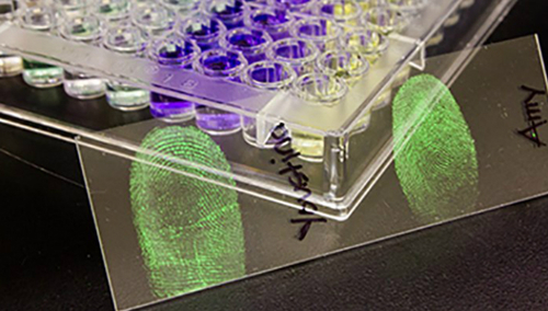 453oh1b0j0sbsci23mct9resq2_b