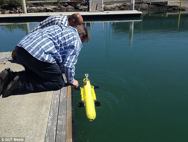 49619e4452894c94a02d45eaf106cd70