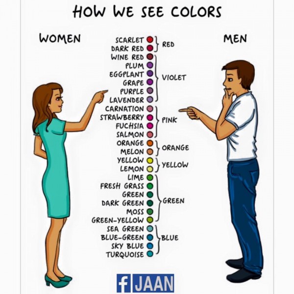 66889_913529062063781_4161907382354632865_n