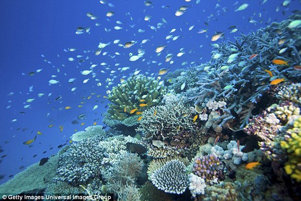 bb4dd34ffa144c8cb071bf84582b58da