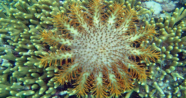 d82d9e55b5ec4b37b7707178dfd677c3