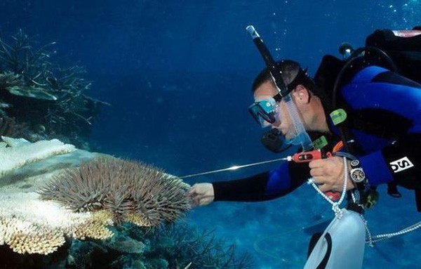 f9aedfc993a548479eacd9f63654706a