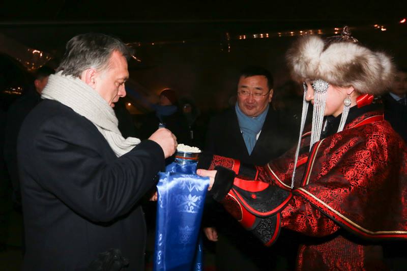 10610725_950805564966500_6744159206267561962_n