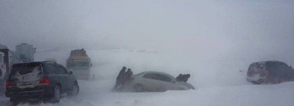 11081480_963725876995184_4150394352877421889_n_700x700-2200x800