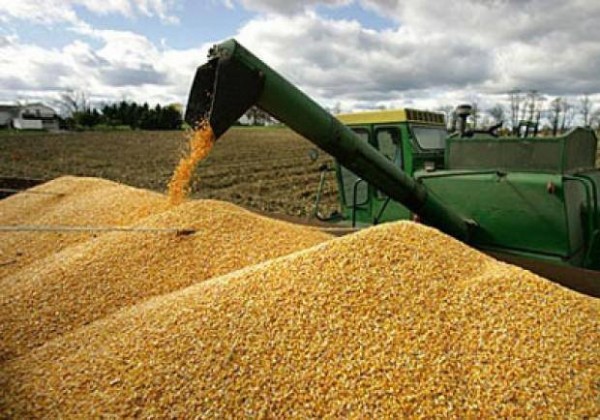 12208858_1081206485232314_7452477270936022612_n