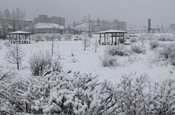 12507278_888179181297171_7169285967551505639_n