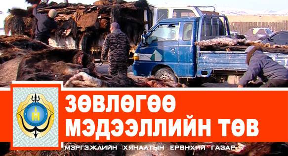 12507602_939483372809341_947904530888482448_n